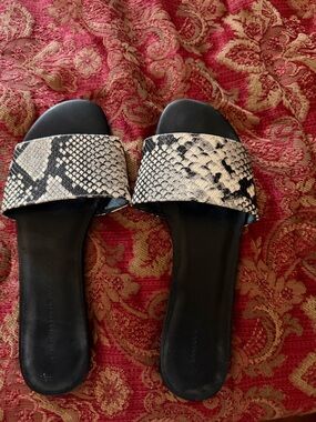 Banana Republic Black Slides with Snake-Print Strap